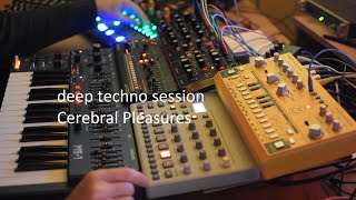 'Cerebral Pleasures'  deep techno live session