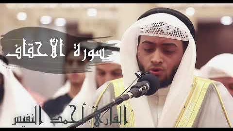 سورة الأحقاف - القارئ أحمد النفيس | القرآن الكريم