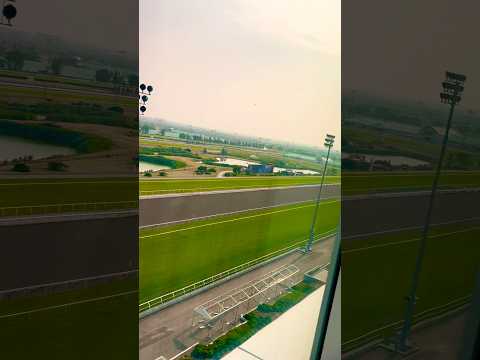 Great Canadian Casino! King Suite With Racetrack View! #race #track #horse #hotel #suite