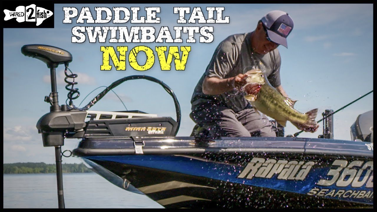 A Beginner's Guide to Paddle Tail Swimbaits 