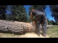 OLD POWER SAWS BUCKING BIG WOOD OLD POWER SAWS BUCKING BIG WOOD