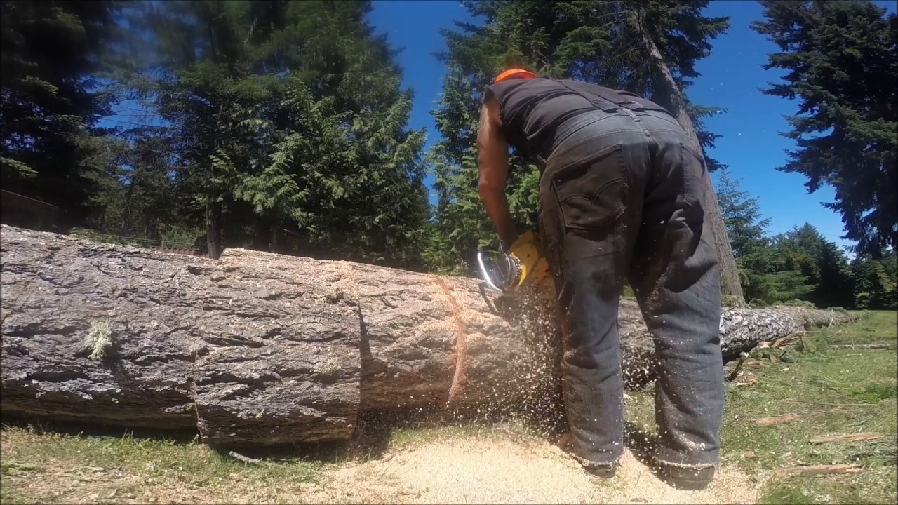 OLD POWER SAWS BUCKING BIG WOOD YouTube