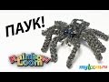 ПАУК из резинок Rainbow Loom Bands. Урок 201 | Spider Rainbow Loom