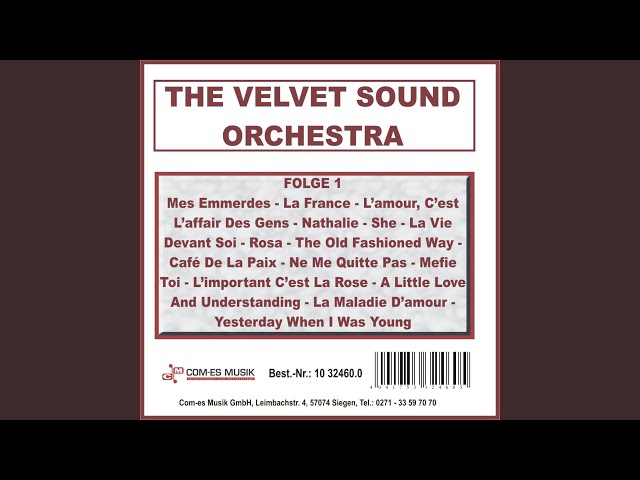 Velvet Sound Orchestra - Mes Emmerdes