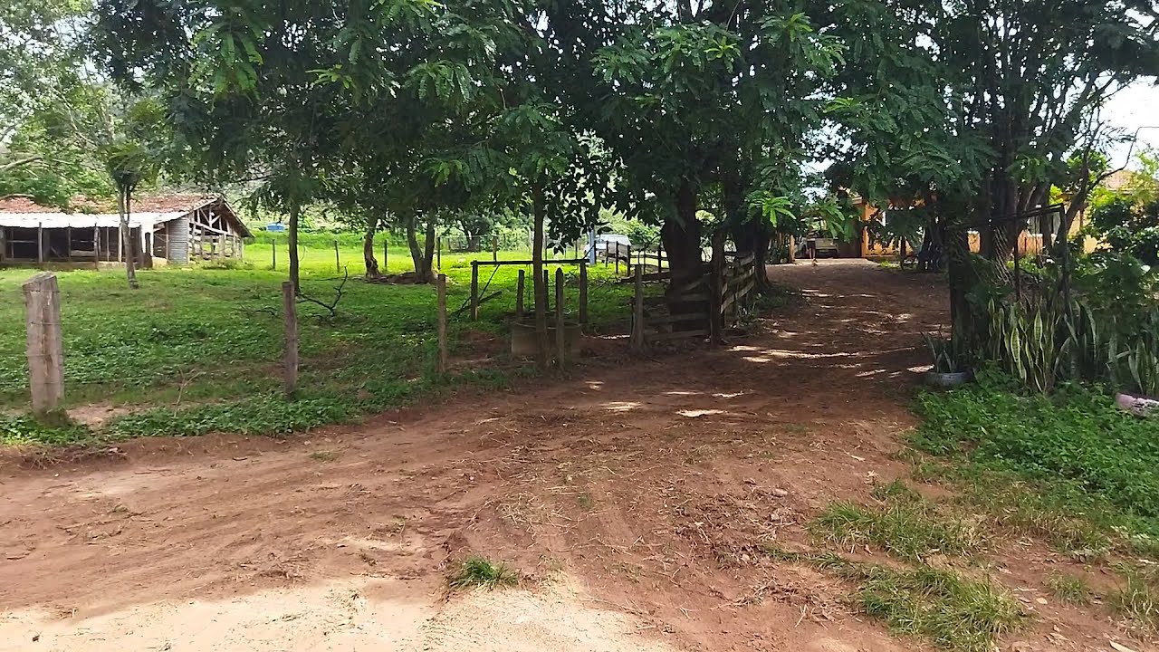 Lugar lindo, Tião da Serra, Viúvo por duas vezes, Animais plantações, arvores  agua horta Rural