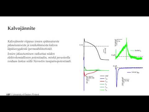 Video: Mikä on kaliumin tasapainopotentiaali?