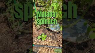 Beat The Summer Heat