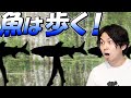 魚は歩く。淡水魚の驚きの移動手段を紹介#74