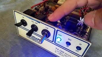 Fresh Original Palomar TX100 80wRMS 150PEP 4 Ebay - SOLD!