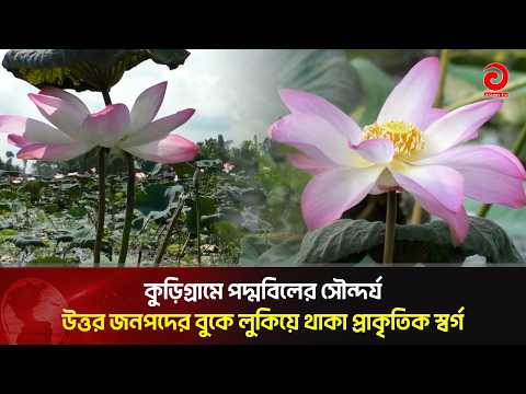 A Natural Paradise Hidden in the Heart of the Northern Region | Asian Television