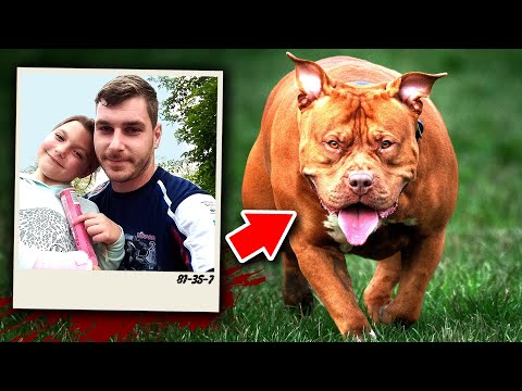 The Shocking Rise Of Dog Attacks Leaves This Town Stunned!