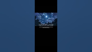 لا يَسْأَمُ الْإِنْسَانُ مِنْ دُعَاءِ الخَيرِ وَإِنْ مَسَّهُ||تلاوة مريحة بصوت الشيخ ماهر المعيقلي💗🌿