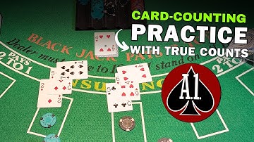 6-Deck Card Counting Practice Video with True Count
