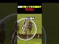 戻ってきた白馬がやばすぎる#白馬 #競馬 #おもしろ動画 #カオス #予想外
