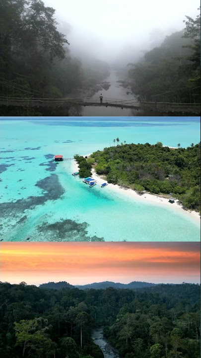 Flying over Borneo #borneo #djimini3pro #travel #cinematic