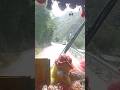 Experience the thrill of the Manikaran downhil ride through the beautiful valeys of Himachal Pradesh