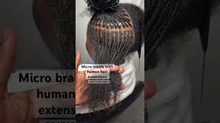 #microbraids #braids #sisterlocksjourney #latestinbeautylineupproducts #sisterlocksinstallation