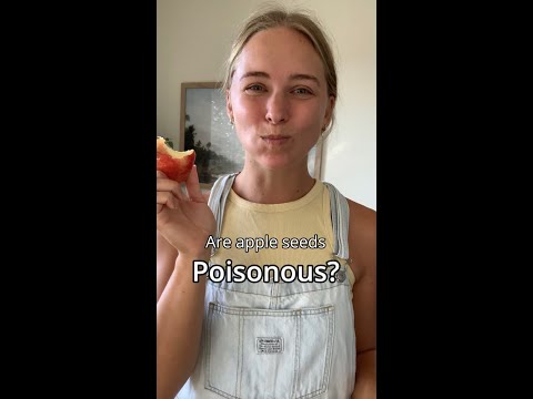 Видео: Семена Apple содержат цианид