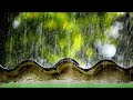 The sound of heavy rain without thunderstorms - deep sleep in 5 minutes