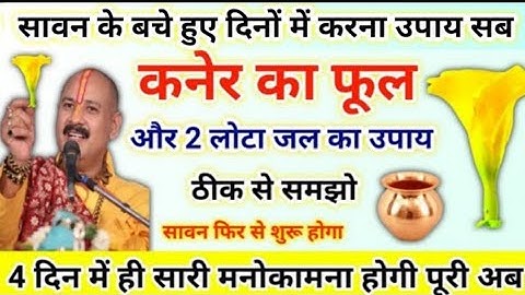सावन में करने वाले उपाय | कनेर का फूल 2 लोटा जल उपाय | sawan ke upay pradeep mishra