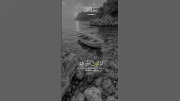 قرآن كريم سورة الزمر #قرآن #اكسبلور