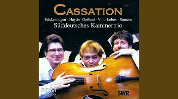 String Quartet in C Major, Op. 1 No. 6, Hob. III:6 (Arr. for Flute, Guitar & Cello by...