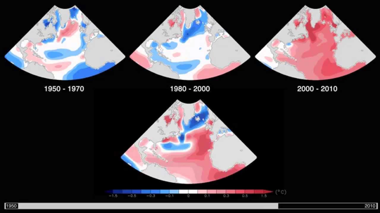 North Atlantic Ocean Sea Surface Temperature Anomaly Maps YouTube