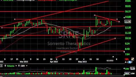 CRR, SGEN, SRNE, VIMC - Harry Boxer, TheTechTrader.com