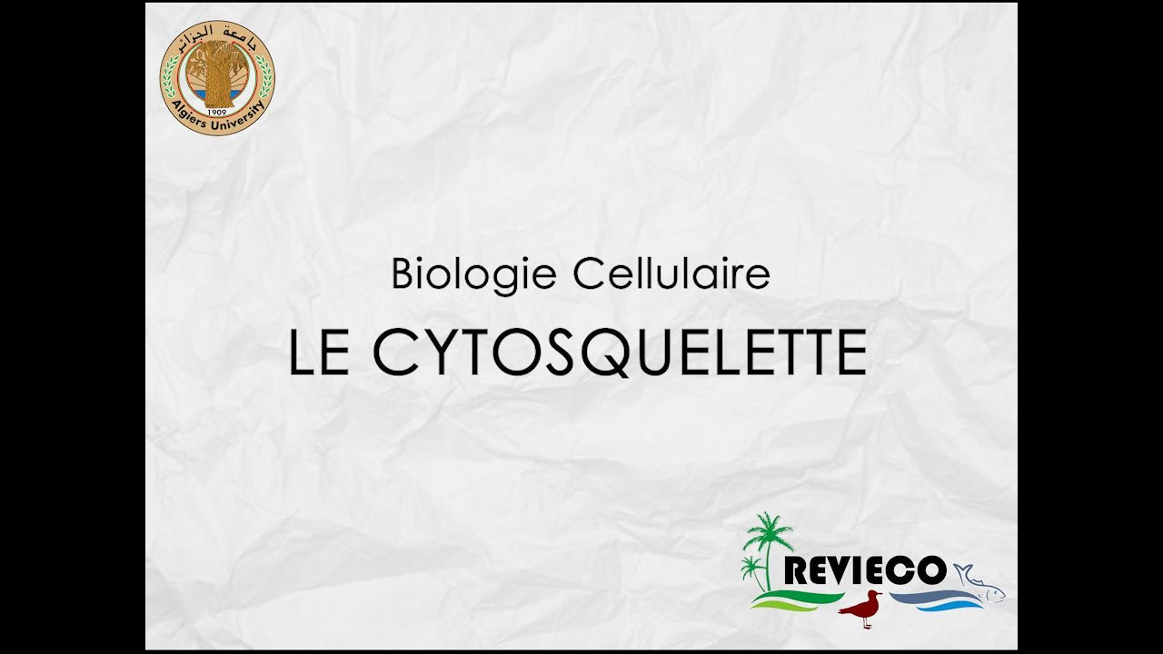 4.5 Le cytosquelette – Introduction à la biologie cellulaire et