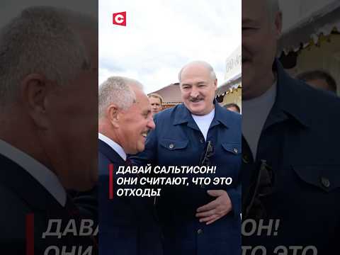 Лукашенко: Ну, давайте сальтисон! #лукашенко #новости #беларусь #президент #батька