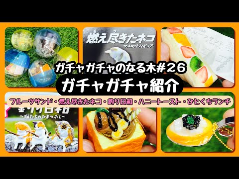 【ガチャガチャのなる木#26】2022年3月のガチャ紹介Part１フルーツサンド/燃え尽きたネコ/釣り日和/ハニートースト/ひとくちランチを開封！