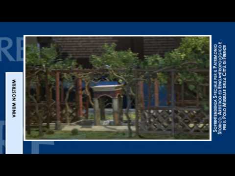 Vinum Nostrum - Museo degli Argenti - YouTube