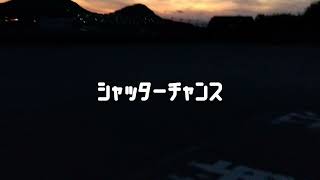 シャッターチャンス feat.Flower