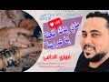 Cheb Fouzi L'Hammi |اجمل اغنية للاعراس الشاب فوزي الحامي 2019 -مدي يدك للحنة