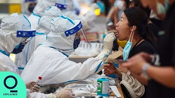 How the Delta Variant has Defied the Best Economic Success Models