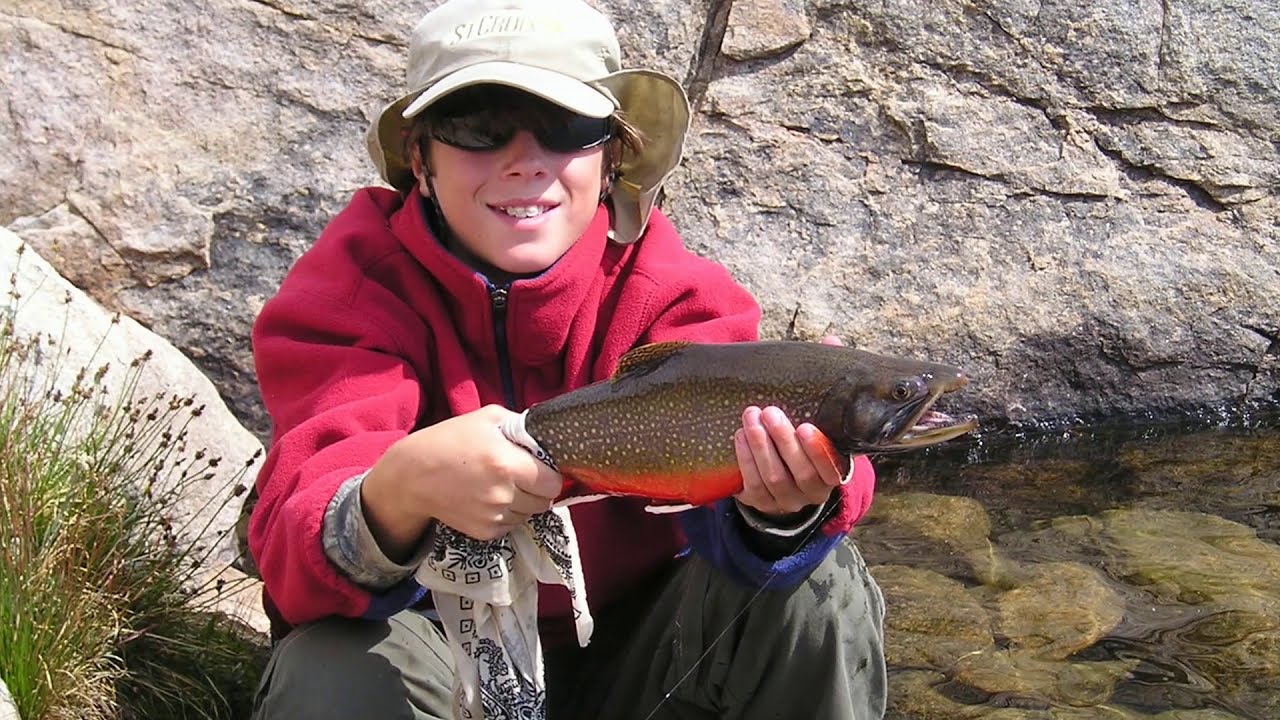 High Lake Brook Trout 