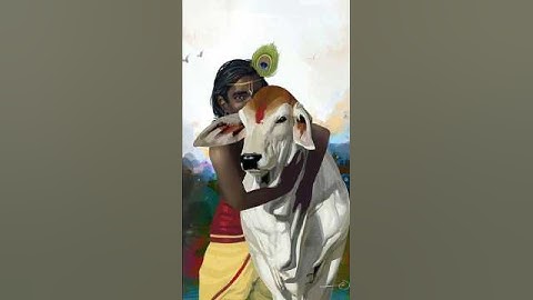 POV: You accidentally open my Gallery.. #shorts #krishna #krishnastatus #hindu #shortsfeed #ytshorts