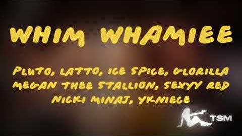Thumbnail of PLUTO & YKNIECE- WHIM WHAMIEE Ft. Nicki Minaj, Ice Spice, Latto & More (Megamix) [TSM]