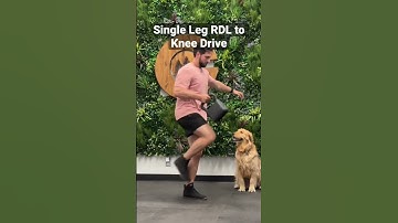 Single Leg RDL to Knee Drive