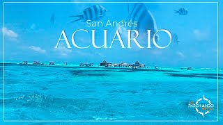 AVENTURA SUBMARINA en el ACUARIO SAN ANDÉS Islas