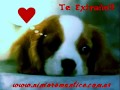 el amor a distancia - para dedicar a esa persona especial