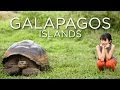 Galapagos islands  esther and jacob