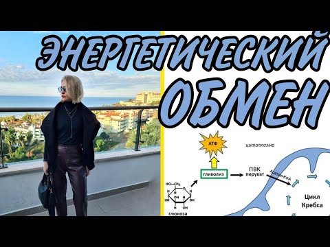 ЭНЕРГЕТИЧЕСКИЙ ОБМЕН: ПОДГОТОВИТЕЛЬНЫЙ ЭТАП,ГЛИКОЛИЗ,ДЫХАНИЕ