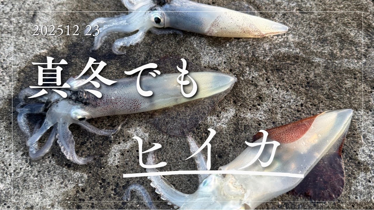 12/23 ヒイカ再挑戦｜Bobbyと厳しい展開…それでも拾えた