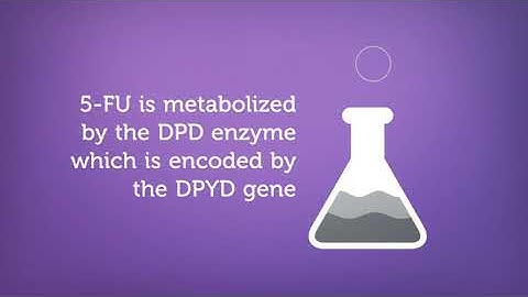 The Elucigene DPYD assay