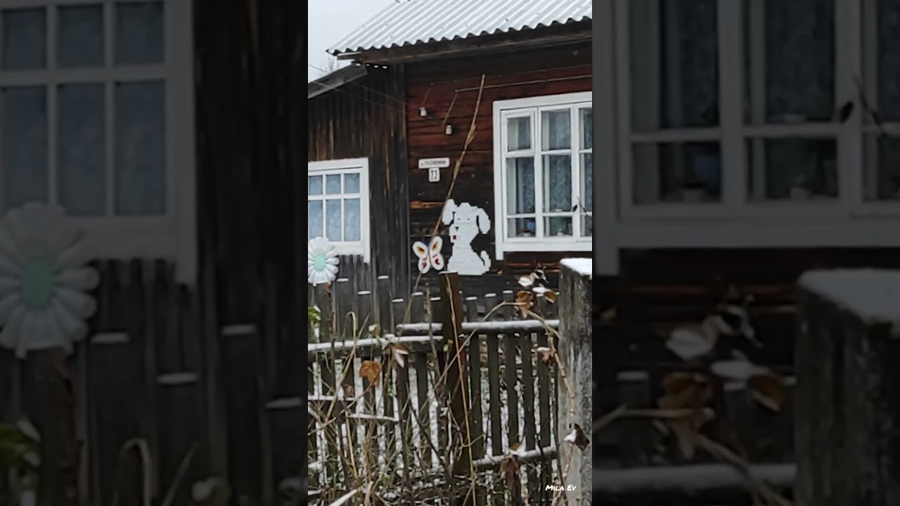 16.11.2023. Пинюг. Подосиновский район. Кировская область.