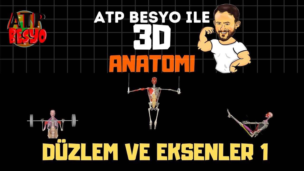 DÜZLEM VE EKSENLER 1