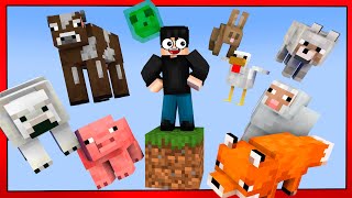 видео: 😱БІР БЛОКТА ЖАНУАРЛАР ЖИНАДЫҚ✅ картинка: 😱БІР БЛОКТА ЖАНУАРЛАР ЖИНАДЫҚ✅