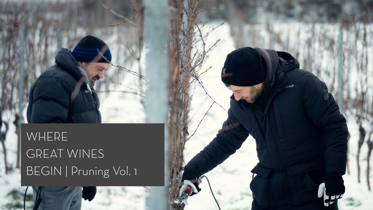 Dreissigacker – Where Great Wines Begin | Pruning Vol. 1
