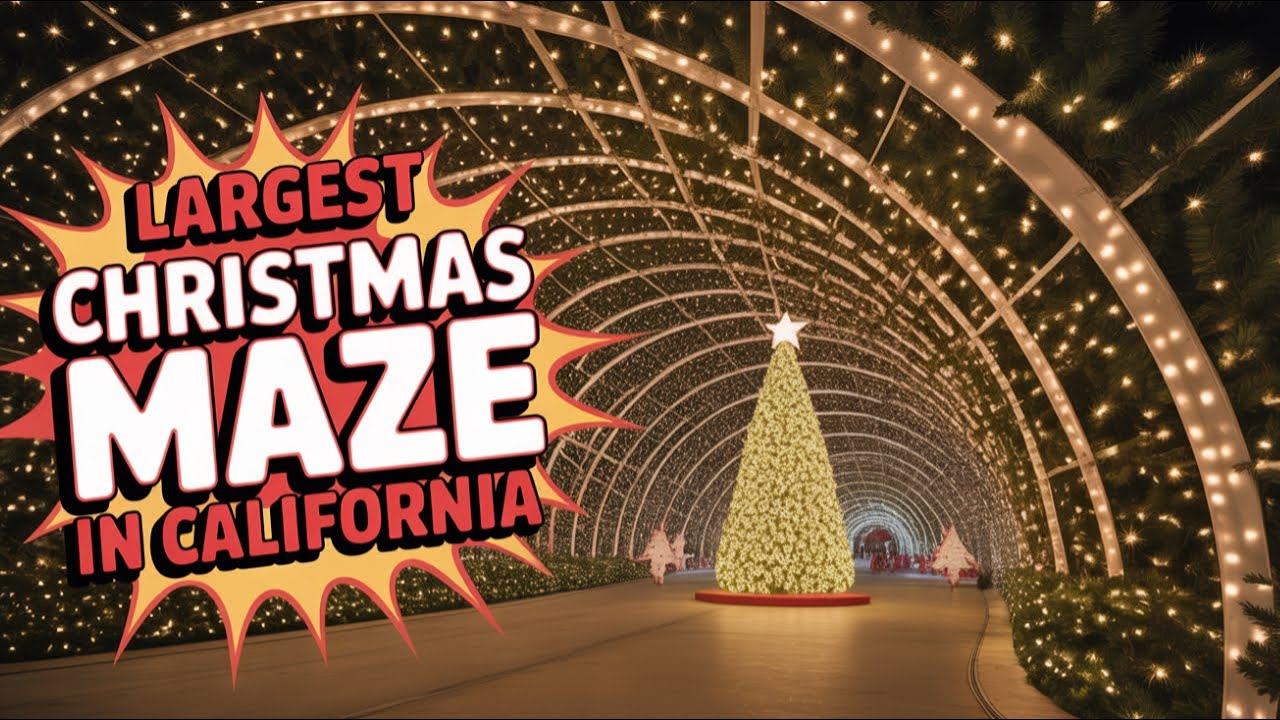 Я обошла толпу в самом большом в мире лабиринте из рождественских огней 🎄✨ | Enchant Los Angeles